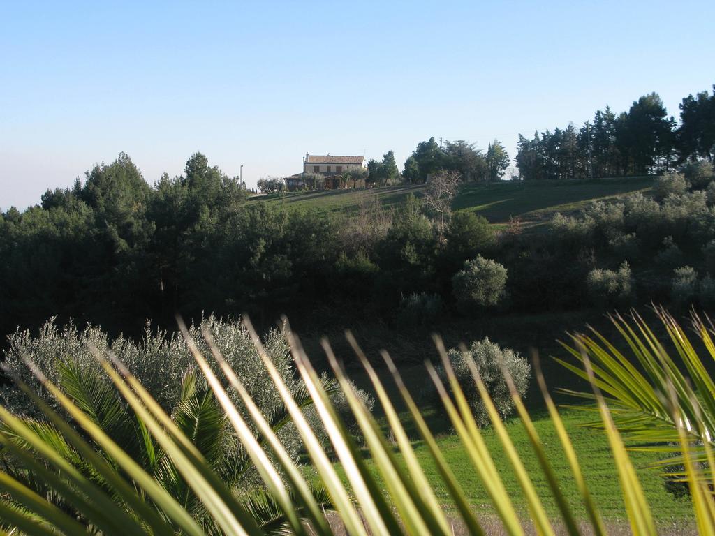 Briciola Di Sole ξενώνας Grottammare Εξωτερικό φωτογραφία