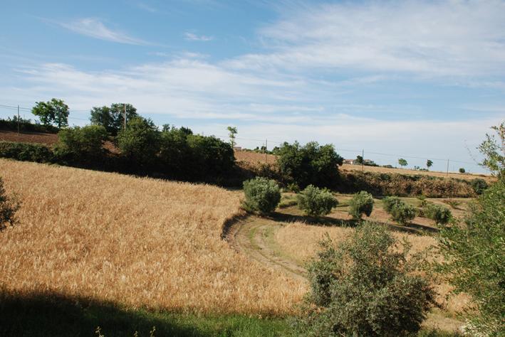 Briciola Di Sole ξενώνας Grottammare Εξωτερικό φωτογραφία