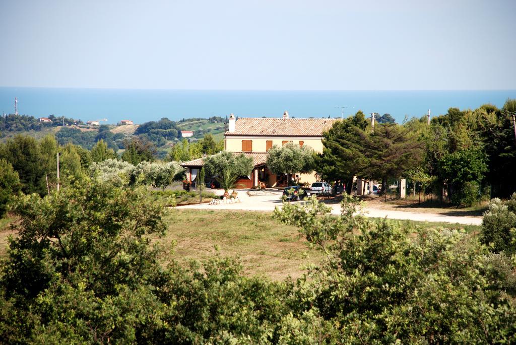 Briciola Di Sole ξενώνας Grottammare Εξωτερικό φωτογραφία